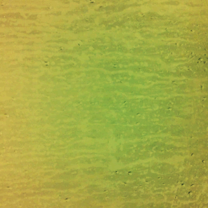 Gif Boom shower scene : evangeline cachinero Gif Boom shower scene : evangeline cachinero